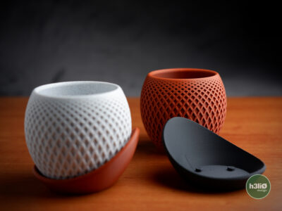 DSCF2008 Polygon Planter