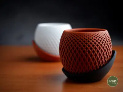 DSCF2010 Polygon Planter